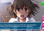 Kotodama – The 7 Mysteries of Fujisawa – PlayStation 4